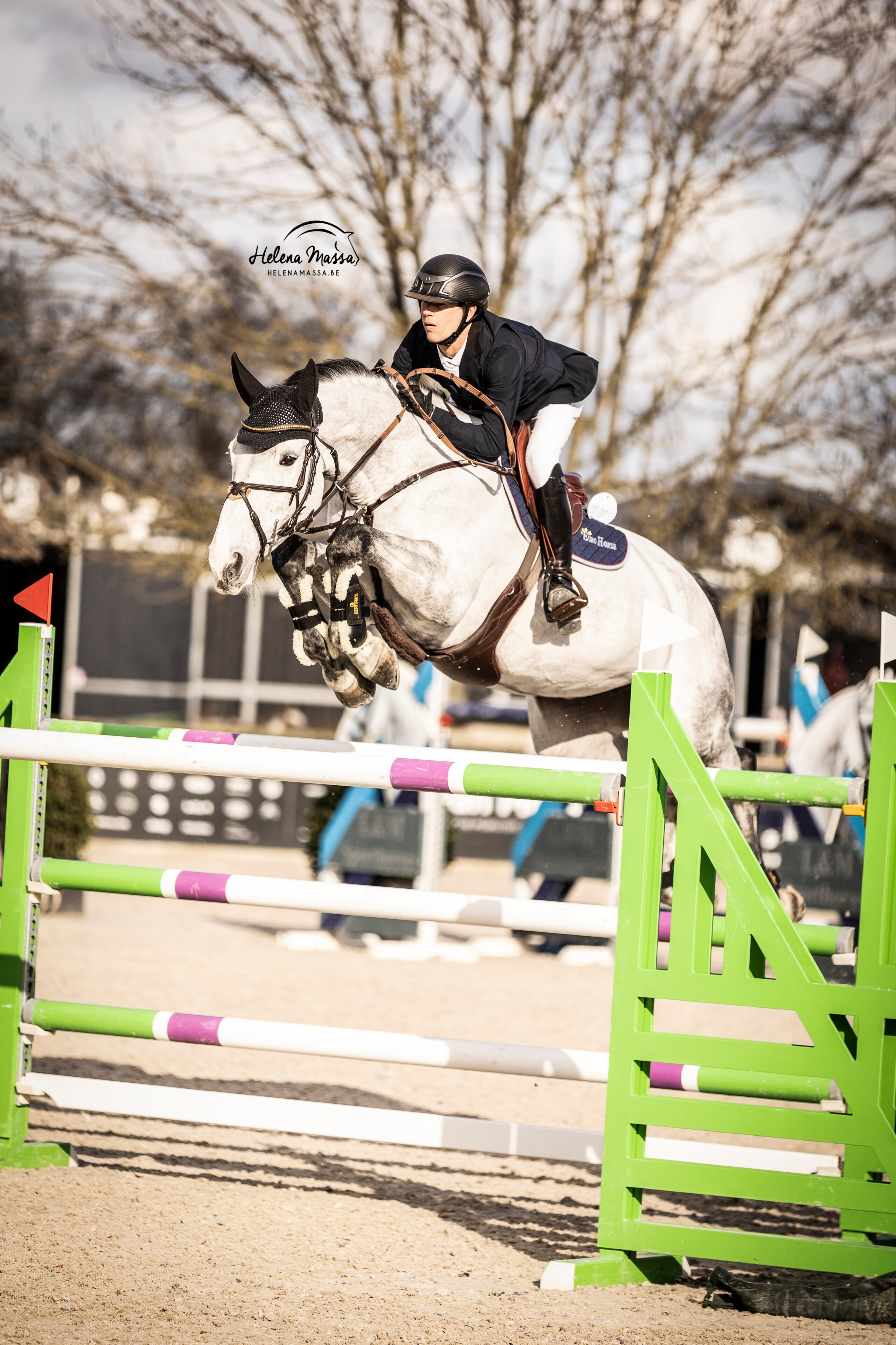 Hero Horse