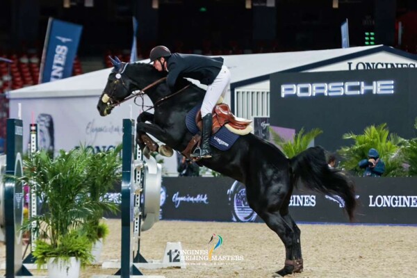 Jos Verlooy and Kraque Boom D'avifauna Z