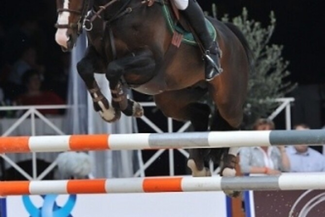 Exquis Powerfee 2nd in Championship of Basel