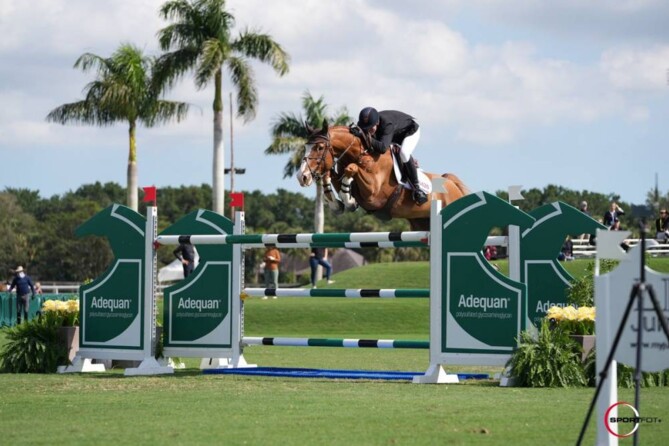 10th place for Igor and Jos in the GP at CSI5***** Wellington