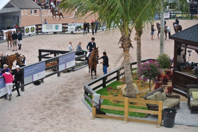 Emerald and Domino in top 10 in 1m50