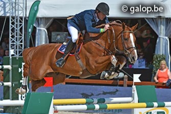 Good start for Harrie at WEF (USA)