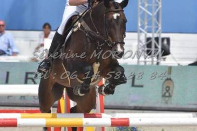Jos and Balloon win the Small GP in Knokke