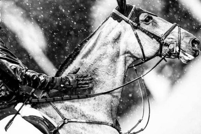 Regina Z retired from the sport after an impressive carreer