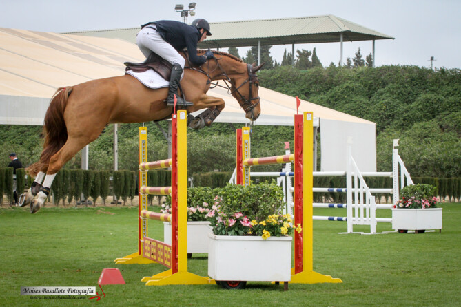 Very nice results for the Eurohorse team at CSI2* Valkenswaard