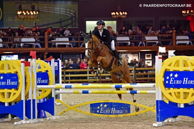 Nixon is the 5yr old champion of the Pavo Stallion Competition