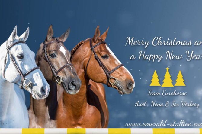 Merry Christmas and a Happy New Year