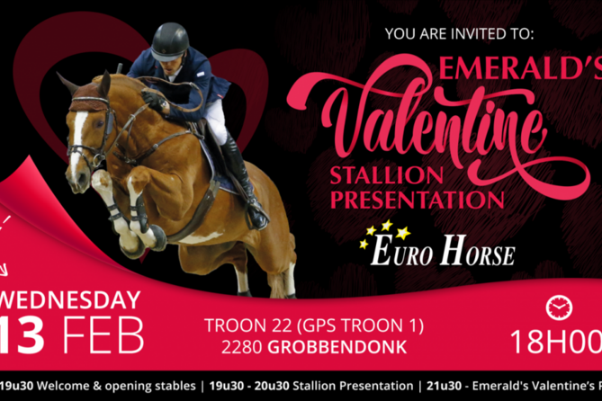 Emerald's Valentine Stallion Presentation