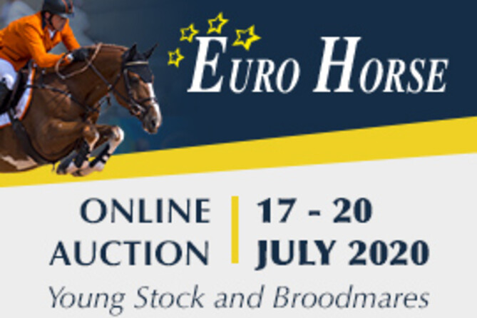 Exclusive Online Euro Horse Auction