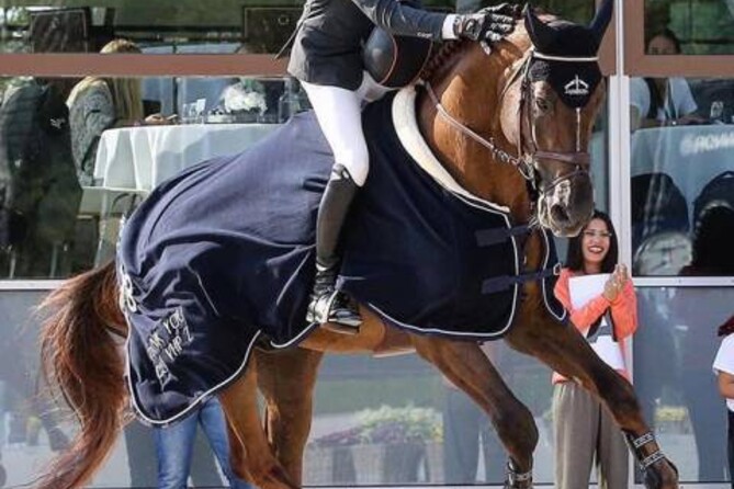 DON VHP Z retires from the sport at GCT Valkenswaard