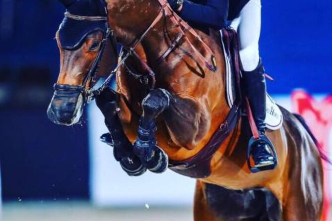 3rd place for Jos and Varoune in the FEI World Cup at CSI5*-W Riyadh (KSA)