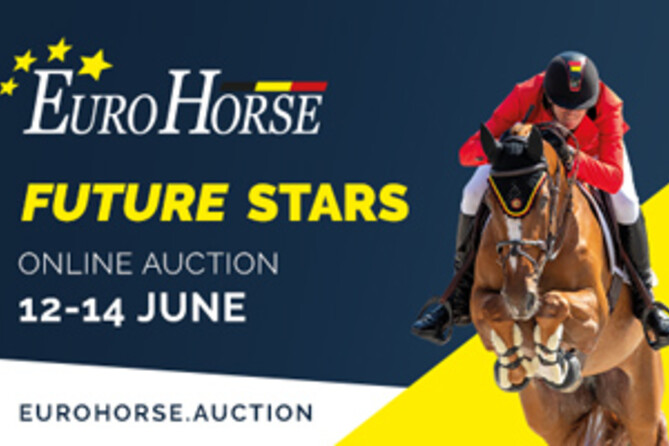 The Eurohorse Online Auction  Future Stars is open.