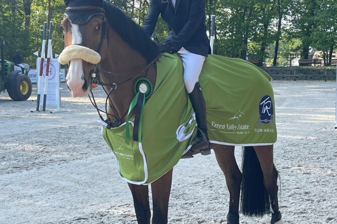 Super results for Dimme D'haese this weekend at CSI2**/YH1* Deurne